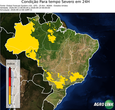 24 horas