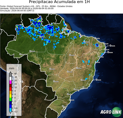 1 hora