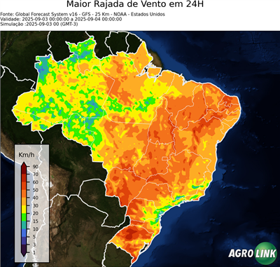 24 horas