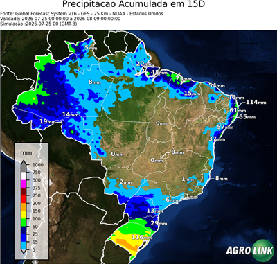 15 dias