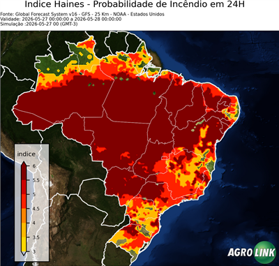 24 horas