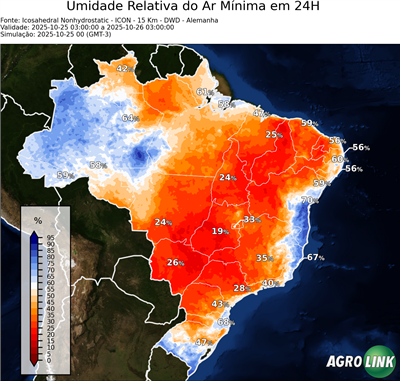 24 horas