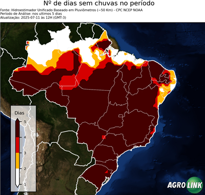 5 dias