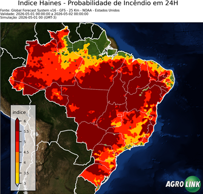 24 horas