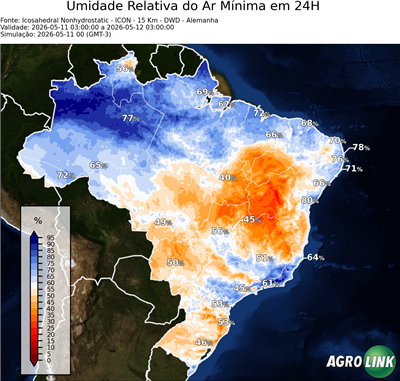 24 horas