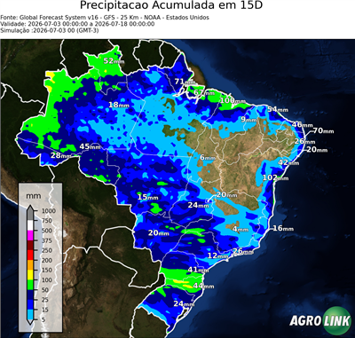 15 dias