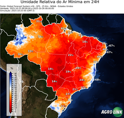 24 horas