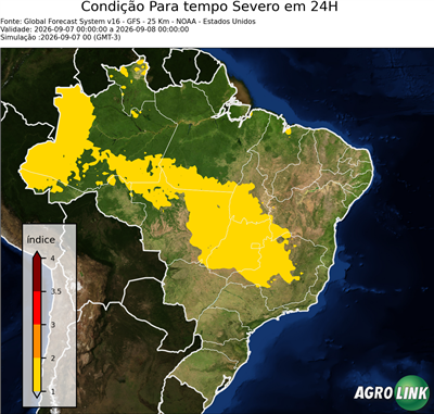 24 horas