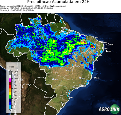 24 horas
