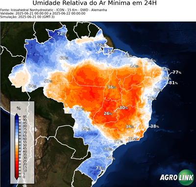 24 horas