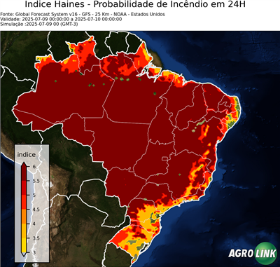 24 horas
