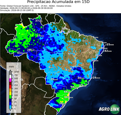 15 dias