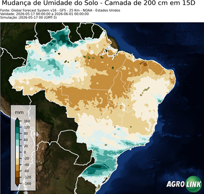 15 dias