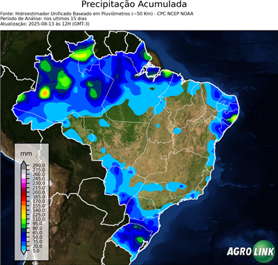 15 dias