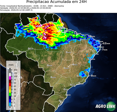 24 horas