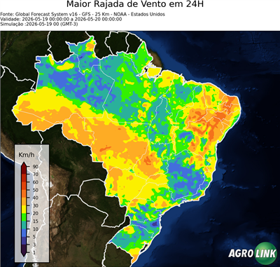 24 horas