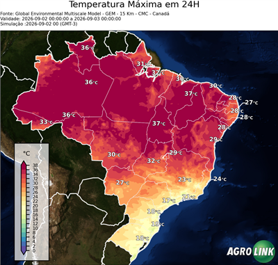 24 horas