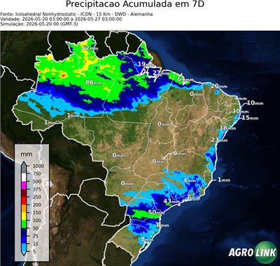 7 dias