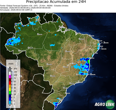 24 horas