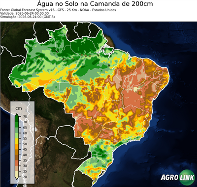 24 horas