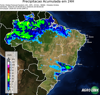24 horas