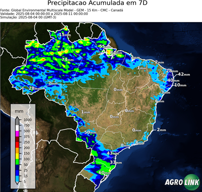 7 dias