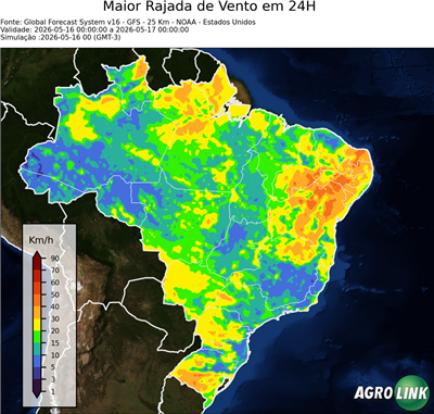 24 horas