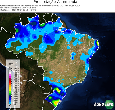 15 dias