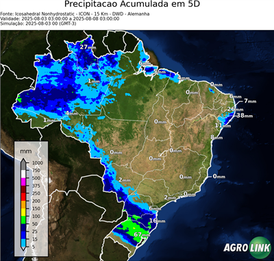 5 dias