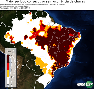 5 dias