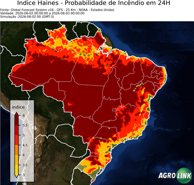 24 horas