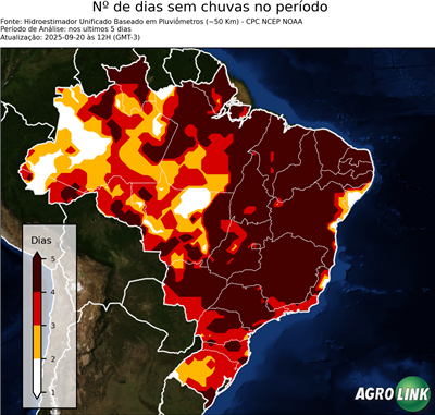 5 dias