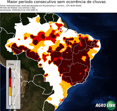 5 dias