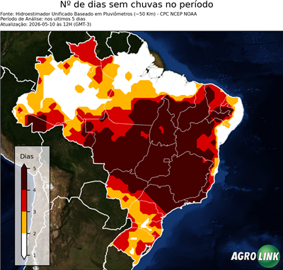 5 dias