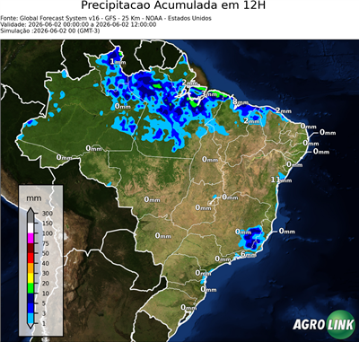 12 horas