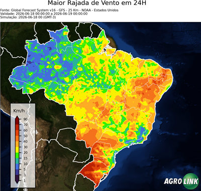 24 horas