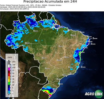 24 horas