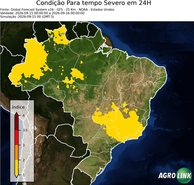 24 horas
