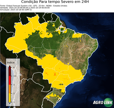 24 horas