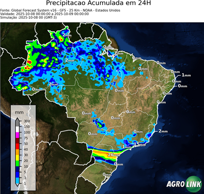 24 horas