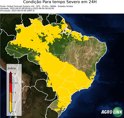 24 horas