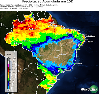 15 dias
