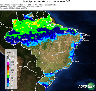5 dias