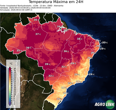 24 horas