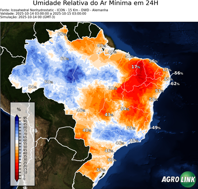 24 horas