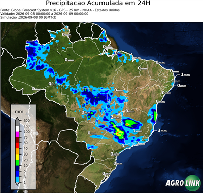 24 horas