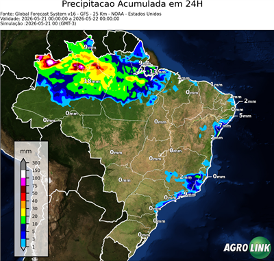 24 horas