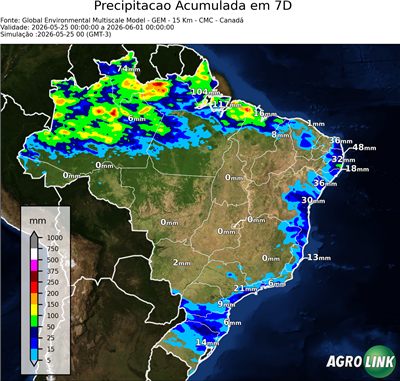 10 dias