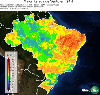 24 horas