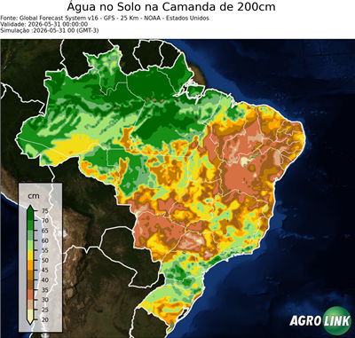 24 horas